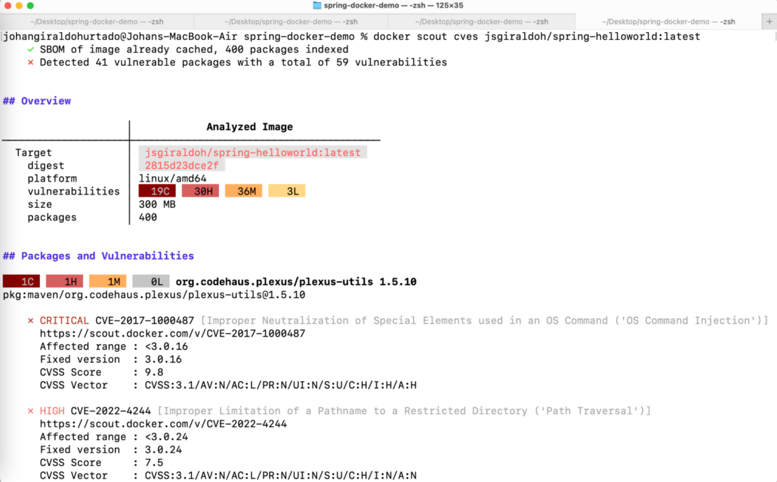 Screenshot of Docker Scout showing Critical and High vulnerabilities associate with analyzed image.