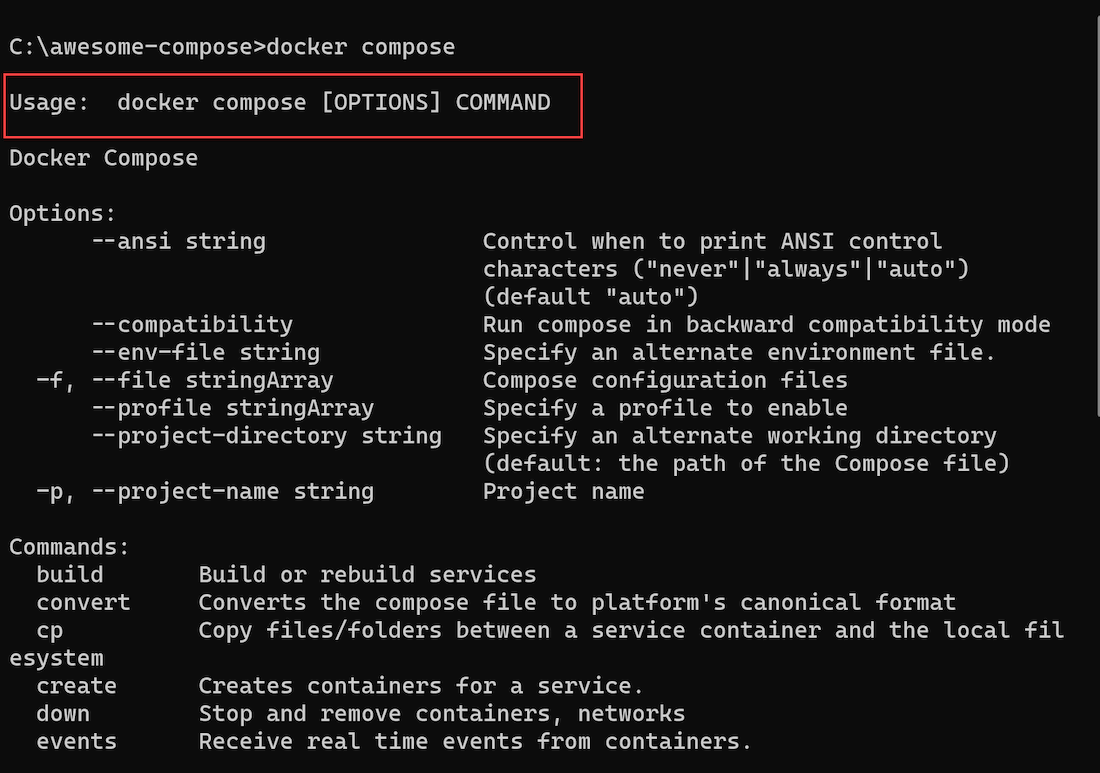 Docker Compose Output