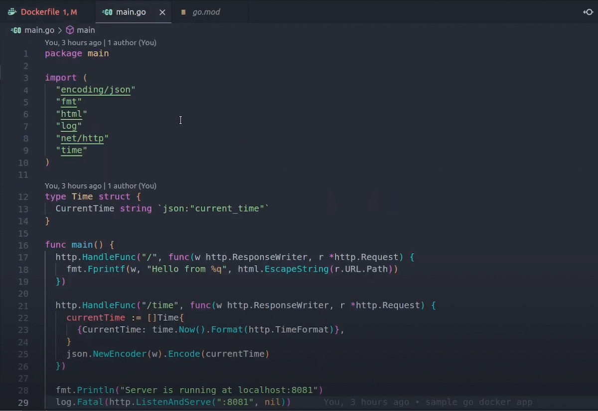 A main.go file creating a web server with an I/O format with print functionality and a route to return the current time. 