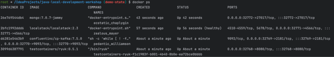 Screenshot showing more details of "docker ps" command, including services running in containers.