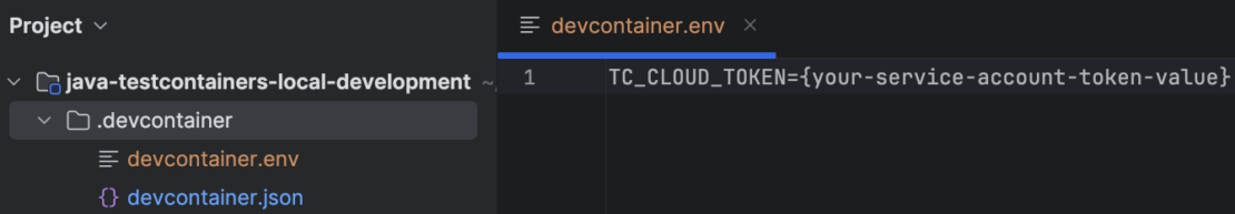 Screenshot of Project menu showing addition of token value to devcontainer.env.