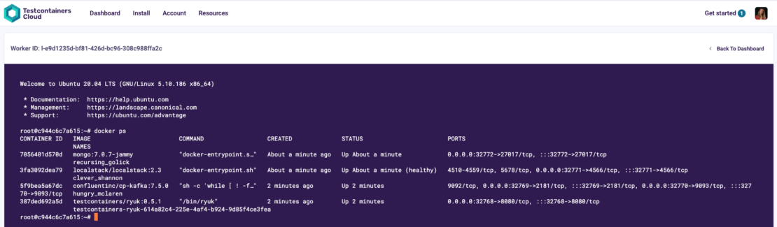 Screenshot of Testcontainers Cloud showing container access via the command line.